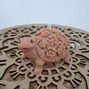 Tortuga